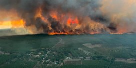 Belangrijke snelweg richting Spanje afgesloten door grote bosbrand in Frankrijk