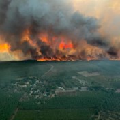Belangrijke snelweg richting Spanje afgesloten door grote bosbrand in Frankrijk