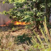 Hitteblog | Code rood voor brandgevaar in alle Vlaamse provincies