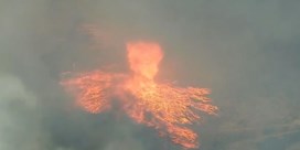 Zeldzaam natuurfenomeen: bosbrand in Californië veroorzaakt vuurtornado