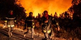 Frankrijk krijgt hulp van overal in Europa bij bestrijden ‘monsterlijke’ bosbranden