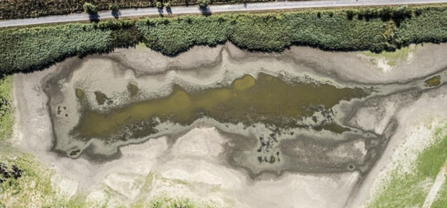 Vanuit de lucht: grote vijver in Gents natuurpark Bourgoyen bijna helemaal opgedroogd