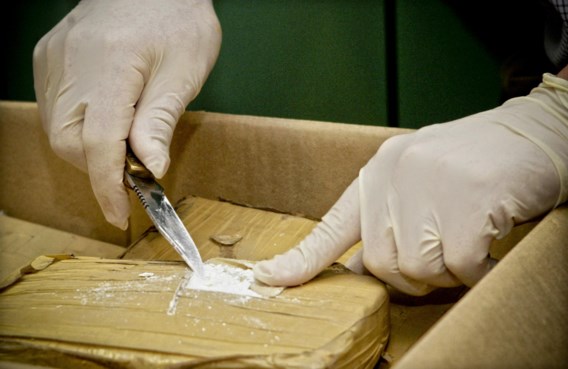 Antwerpse bende opgerold die cocaïne invoerde en grote sommen geld liet witwassen vanuit Dubai