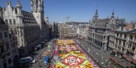 Bloementapijt fleurt Brusselse Grote Markt weer op