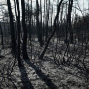 Hitteblog | Opnieuw evacuaties vanwege bosbrand in zuiden Frankrijk, maar de Gironde herademt even