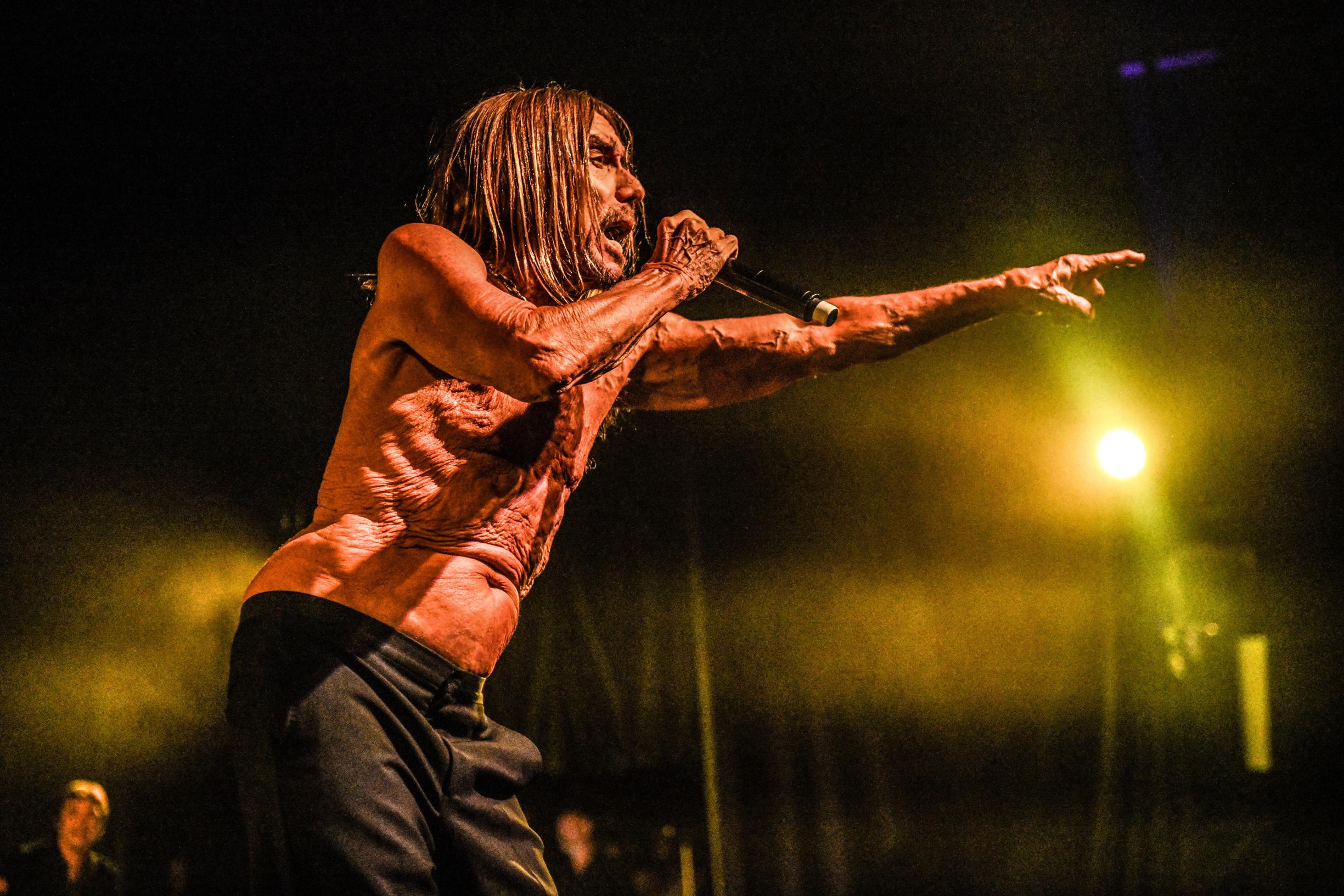 Hjärta, hjärna och nötter: Iggy Pop har allt Hjärta, hjärna och nötter: Iggy Pop har allt