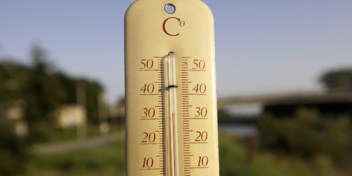 Hitteblog | Dagrecord uit 1911 verbroken: 31,1 graden Celsius in Ukkel