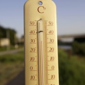 Hitteblog | Dagrecord uit 1911 verbroken: 31,1 graden Celsius in Ukkel