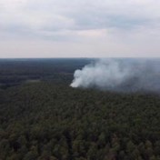 Hitteblog | Brand in natuurgebied Lanaken onder controle