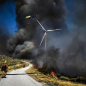 Europa op weg naar ongeziene vernieling door bosbranden