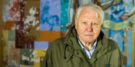 David Attenborough (96) filmt nieuwe natuurserie voor BBC