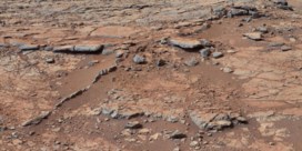 Hoe verbouw je eten op de zoute bodem van Mars?
