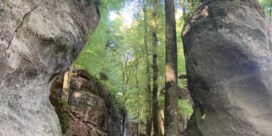 Wandeltip | De Mullerthal Trail, 'Jurassic Park' in Luxemburg