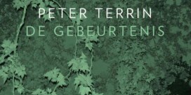 Peter Terrin onderwerpt de male gaze aan een onderzoek in vermakelijke nieuwe roman
