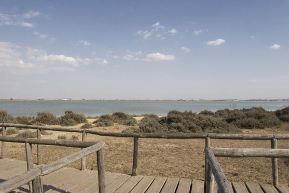 Spaans nationaal park Coto de Doñana is opgedroogd