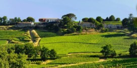 Vlaamse wijnfamilie schopt het tot top van Saint-Emilion: ‘Een enorme opsteker’