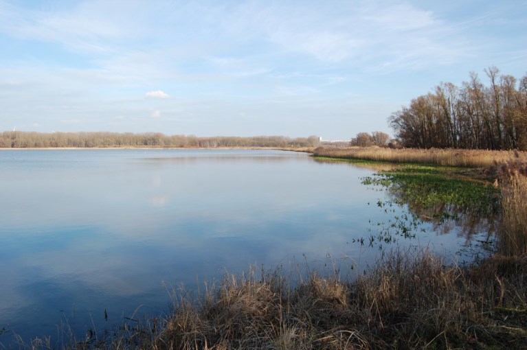 Waarom blijft Natuurpunt wél onderhandelen over PFAS?
