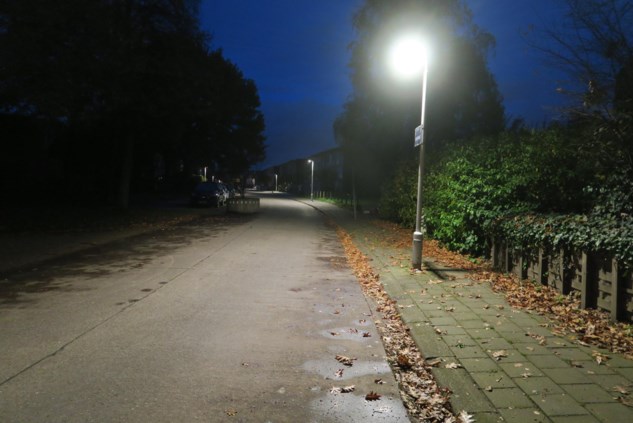 . mesh brandstof Fluvius biedt aan om alle straatverlichting 's nachts uit te zetten: hoe  groot is de besparing? En is het veilig? | De Standaard Mobile