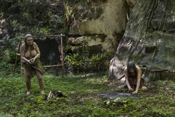 Genetica geeft een inkijk in het familieleven van neanderthalers