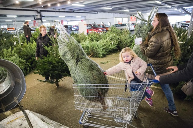 sokken propeller Derbevilletest Ikea verkoopt voor het eerst geen echte kerstbomen meer | De Standaard  Mobile