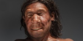 Bits&Atomen | De homo sapiens versloeg de neanderthaler met seks