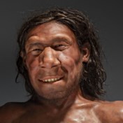 Bits&Atomen | De homo sapiens versloeg de neanderthaler met seks