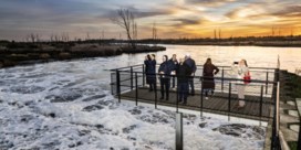 Pakistaanse waterexperts doen inspiratie op in Vlaamse polder: 'Wat hier gelukt is, is heel bemoedigend'