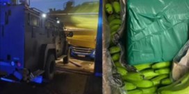 Bijna 8.000 kilo cocaïne ontdekt tussen bananen in Antwerpse haven: waarde van meer dan 200 miljoen euro
