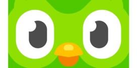 Kun je wel vier talen tegelijk leren met de app Duolingo?