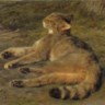 Rosa Bonheur, Chat sauvage, 1850. 