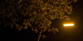 In Limburg kan het straatlicht ’s nachts maar volgend jaar uit