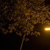 In Limburg kan het straatlicht ’s nachts maar volgend jaar uit