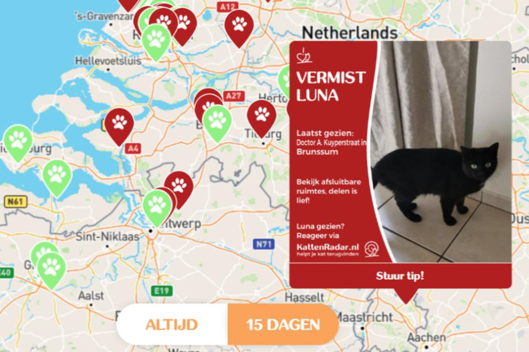 KattenRadar, de steun en toeverlaat van radeloze kattenbaasjes