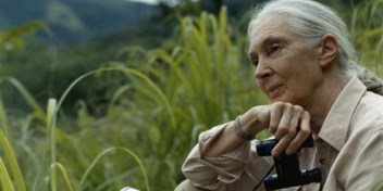 Jane Goodall: ‘Mouwen opstropen en iets doen: zo vind je hoop’