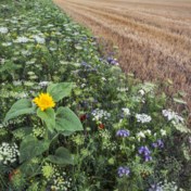 Vlaamse nervositeit: welke toekomst voor de landbouw?