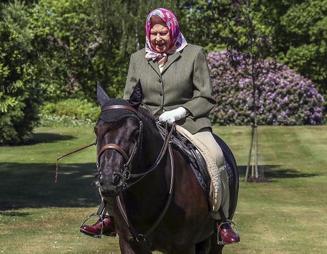Pony van overleden koningin Elizabeth krijgt onderscheiding