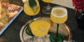 Vermoutcocktail met mandarijn en champagne