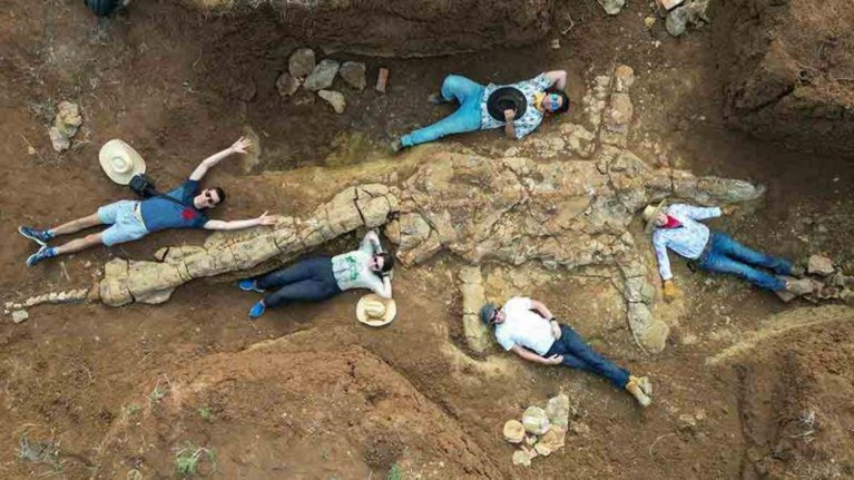 Paleontologen leggen 100 miljoen jaar oud skelet van zeereptiel bloot
