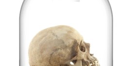 Stukken van mensen: de onethische handel in schedels en skeletten