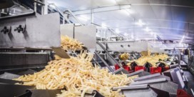 Belgische friet- en krokettenreus in de maak