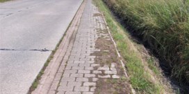 Amper 5 procent Vlaamse fietspaden veilig