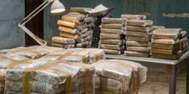 Recordvangst: Antwerpse haven onderschept bijna 110 ton cocaïne in 2022
