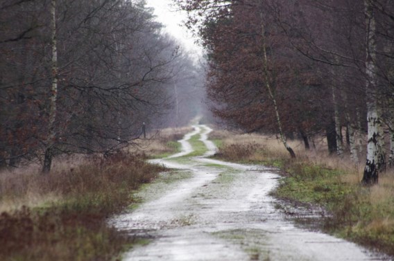 Een golvende regenzone trekt over het land | De Standaard