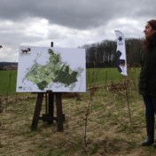 Vlaanderen bebossen blijkt voor Demir moeilijker dan beloofd
