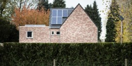Toename Vlaamse zonne-energie verbleekt bij groeispurt in Europa