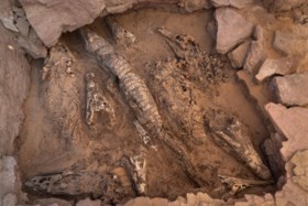 Belgische archeologen onderzoeken onverstoord Egyptisch graf met tien krokodillenmummies