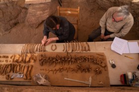 Belgische archeologen onderzoeken onverstoord Egyptisch graf met tien krokodillenmummies