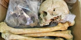 Skeletten van slag bij Waterloo gevonden in dozen op zolder