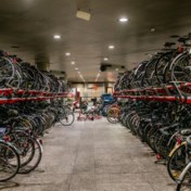 Bomen en fietsen, snelle winst voor leefbare stad