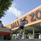 Verschillende incidenten met dieren voeden mysterie in de zoo van Dallas